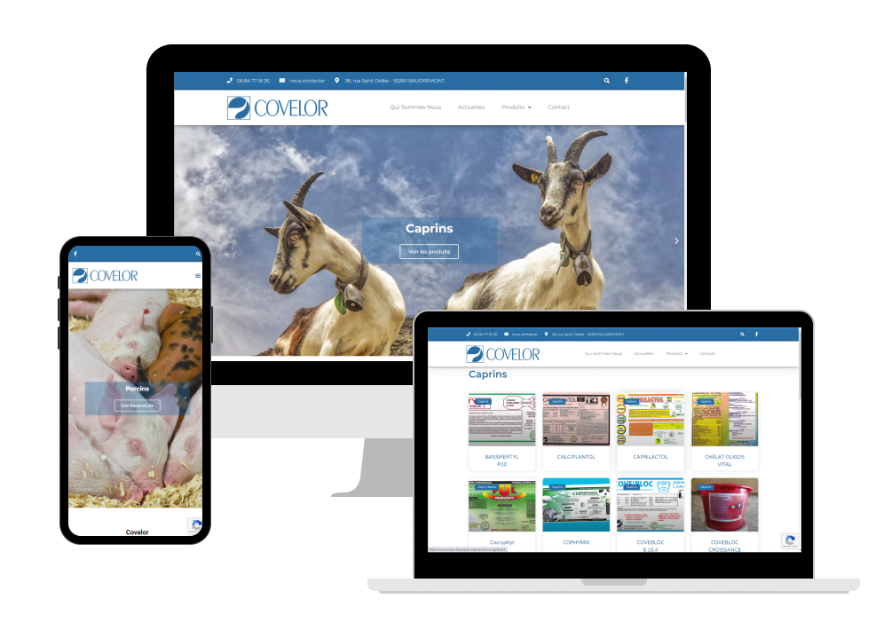 Site web de Covelor